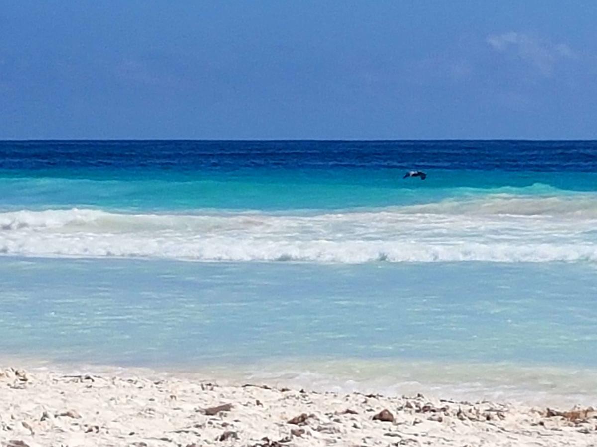Quetzal Apartment Akumal Kültér fotó